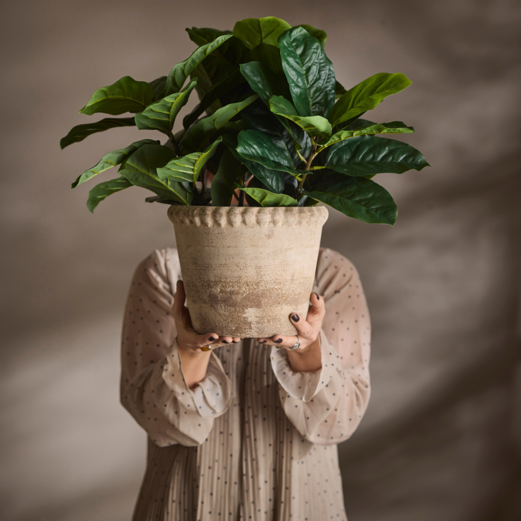 1650-90-1 - Fiolficus 40 cm - kunstig plante