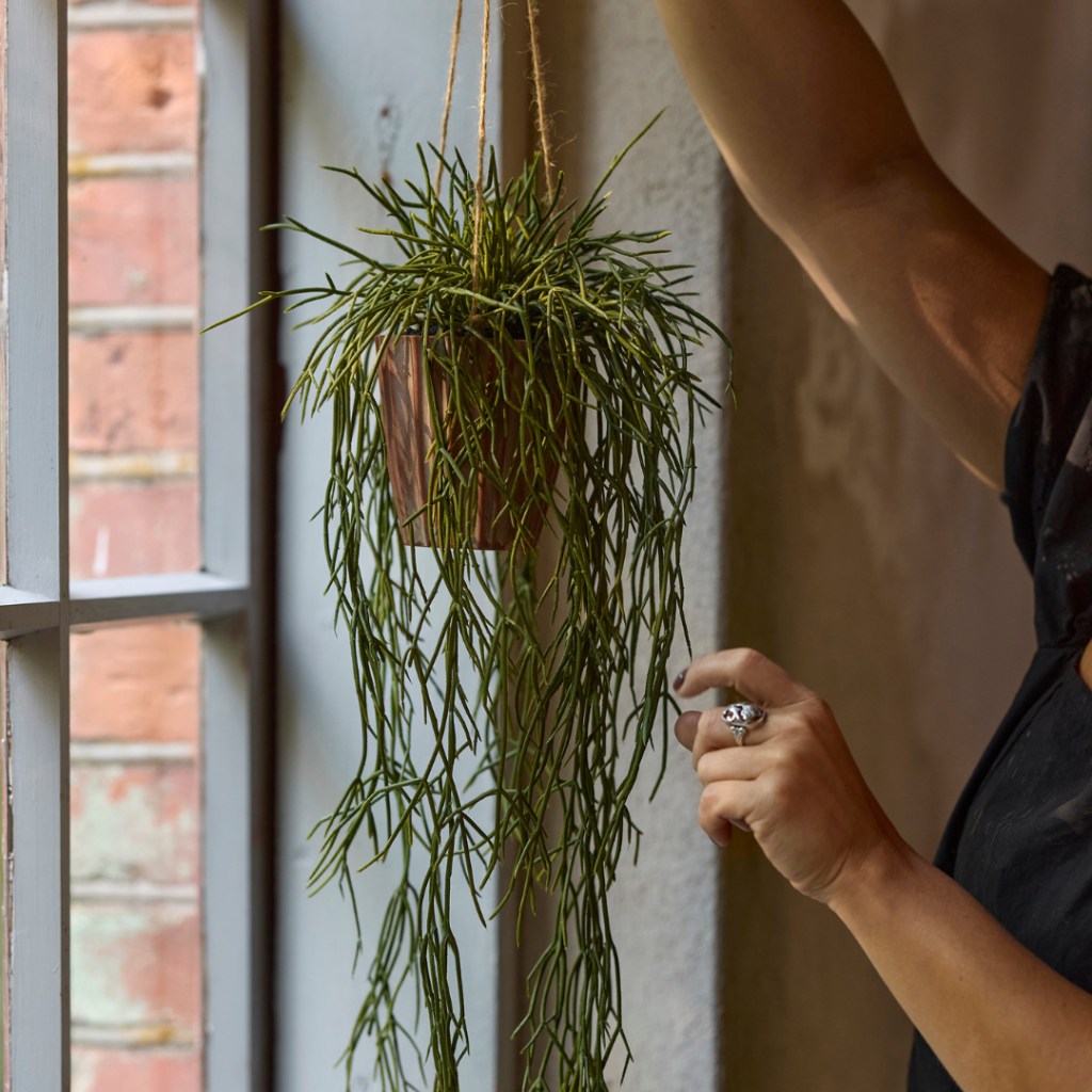 6358-90-3 - kunstige planter - kunstige haengeplante - Rhipsalis