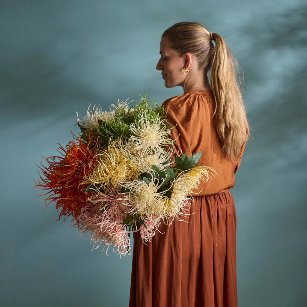 Spindel-krysantemum - kunstige blomster - Mr Plant - 4741-11